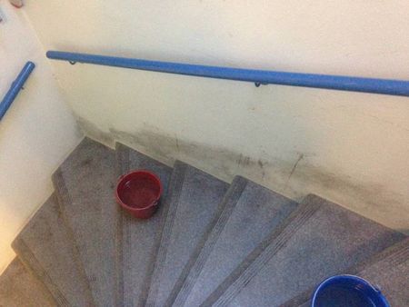 Nos prestations sur le secteur de Le Havre 76600 en Normandie